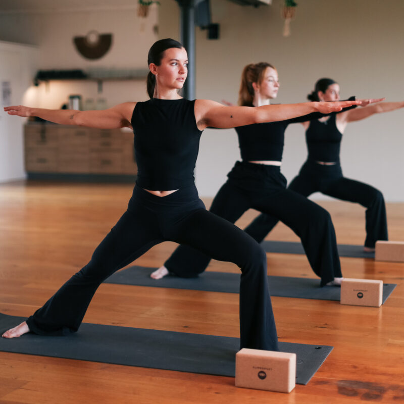 STRENGTH & EASE VINYASA