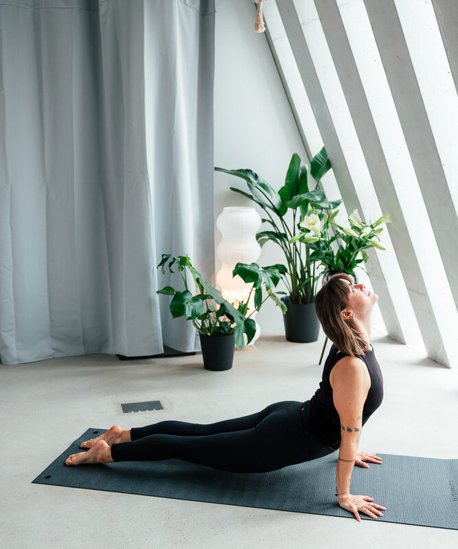 MORNING VINYASA